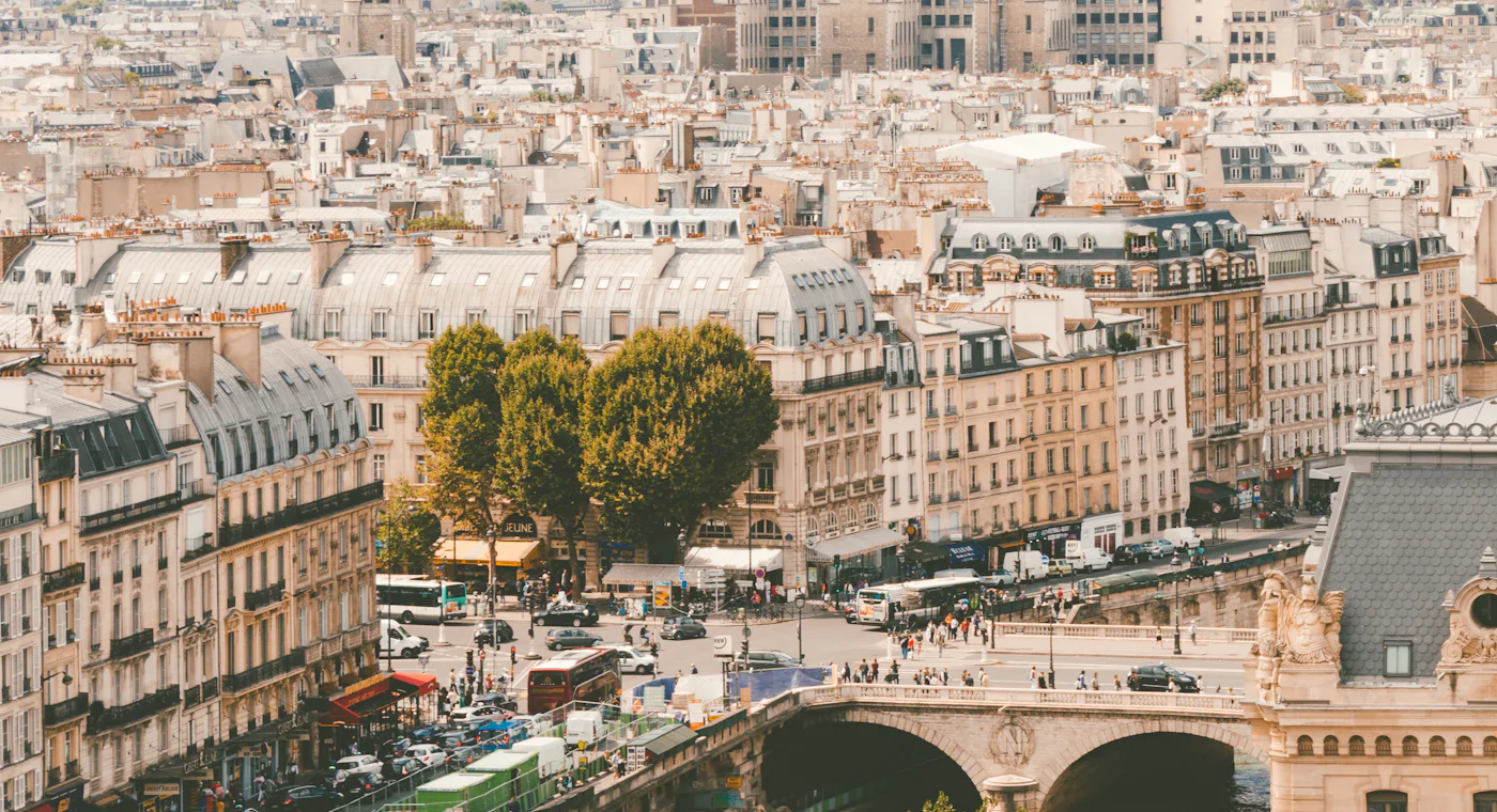 Les toits haussmanniens de Paris et la Seine au niveau du pont Saint-Michel